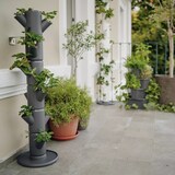 thumbnail of Gusta Garden Sissi Strawberry Classic Draußen Vertikale Pflanzmaschine Freistehend Polypropylen (PP) Weiß