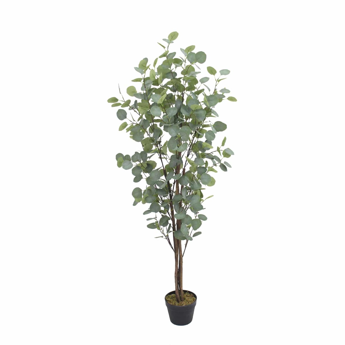 Bonerva | Eucalipto Nature 150 cm Altura | Planta artificial con Tronco natural | Ideal para decorar interiores: hogares, negocios y hoteles