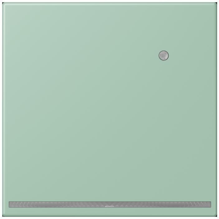 Jung LED-Orientierungslicht LC 1539-O LNW 217 LC1539-OLNW217