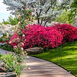 thumbnail of Arco Da Giardino Per Rose Piante Rampicanti Traliccio Pergolato Vite Decorazione Eventi Matrimoni Sostegno In Metallo Verde Scuro 240 x 140 x 38 cm