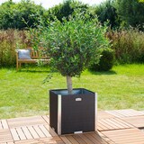 thumbnail of Wilk Rattan-Pflanzgefäß mit Alu-Beschlägen, 46x46x46cm, braun RD02