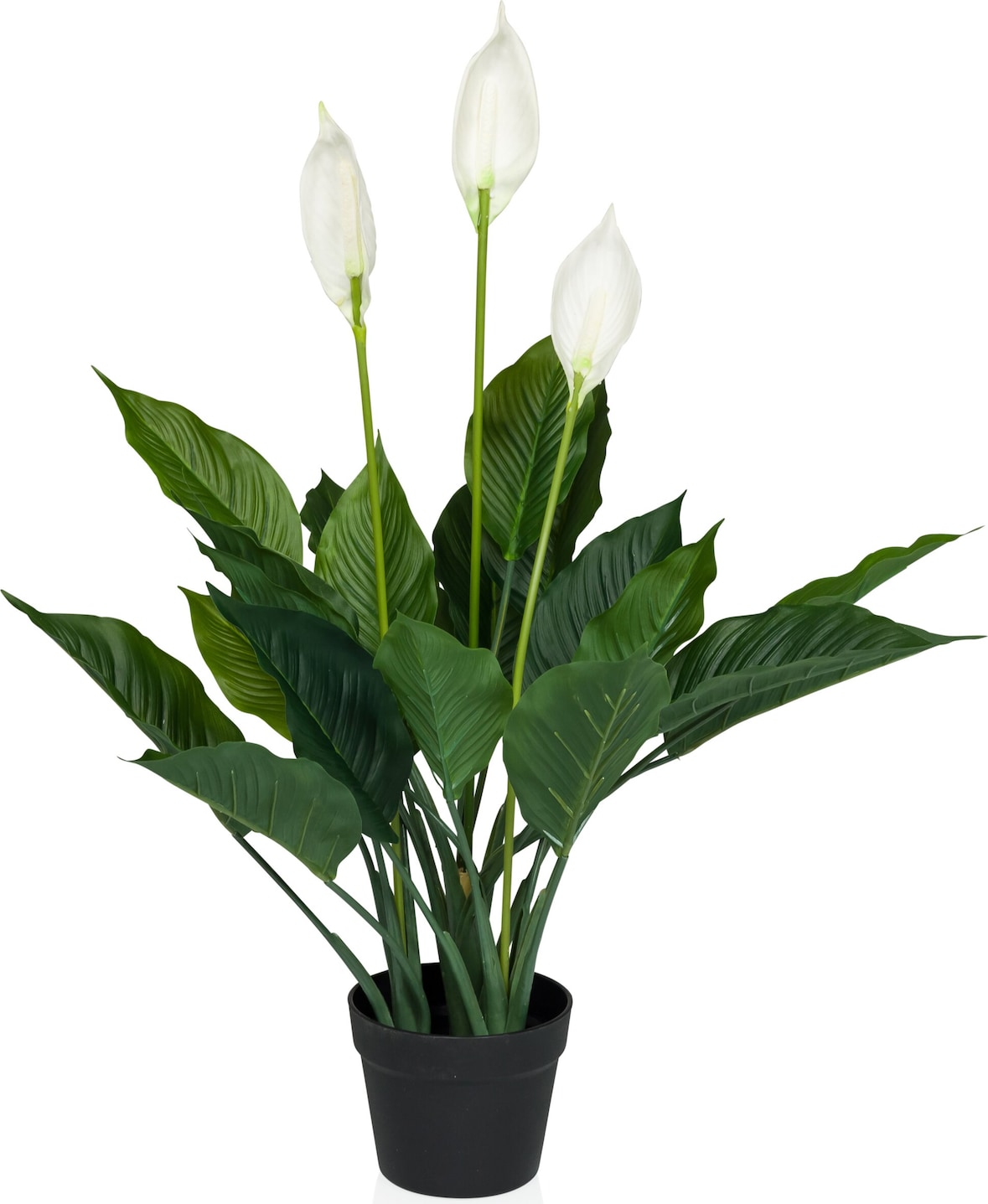 Kunstpflanze / Kunstblume SPATHIPHYLLUM Einblatt 80 cm grün/weiß hjh OFFICE