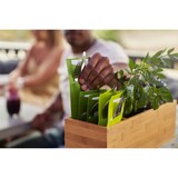 thumbnail of Duni Bestecktasche Sacchetto® Tissue 8,5 x 19 cm Kiwi, 500 Stk/Krt (5 x 100 Stk)