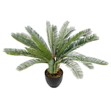 thumbnail of Kunstplant / Kunst palmboom CYCAS kunststof groen - hjh OFFICE