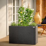 thumbnail of Casaria Poly Rattan Blumentopf herausnehmbar Schwarz