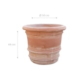 thumbnail of Biscottini Blumentöpfe 50x50x44 cm - Runder Terrakotta Topf - Innen Blumentöpfe - Außen Blumenkasten für den Garten Made in Italy - Runder Balkontopf