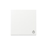thumbnail of Gira Wippe Symb. Licht 328503