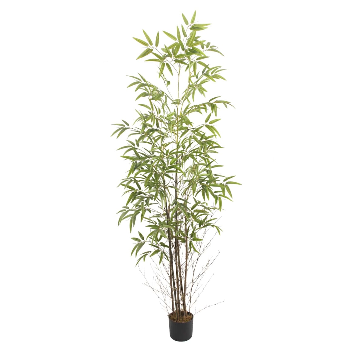 Bonerva | Bambú Nature 210 cm Altura | Planta artificial con Tronco natural | Ideal para decorar interiores: hogares, negocios y hoteles