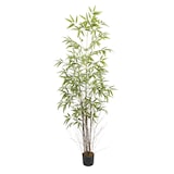 thumbnail of Bonerva | Bambú Nature 210 cm Altura | Planta artificial con Tronco natural | Ideal para decorar interiores: hogares, negocios y hoteles
