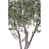 thumbnail of VERT ESPACE olivier geant 185 cm
