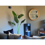 thumbnail of Tecno Air System - Bio-Boden Biokamine - Cortina - Schwarz