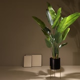 thumbnail of Planta artificial Ravenala 180cm | Naturing Monde - Interior - Tronco natural