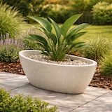 thumbnail of WellHome - Blumentopf aus Rotationsgeformtes Polyethylen 16L 60x28x20cm in farbe Sandweiß - Aria Oval