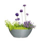 thumbnail of Scheurich Barceo Jardiniere 60, coupe à plantes/bac à fleurs, ovale, coloris: Stony Grey, fabriqué avec du plastique recyclé, pour l’extérieur