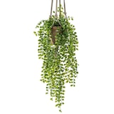 thumbnail of Colgante ARBUSTO FICUS PUMILA de 80 cm (6 unidades)