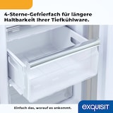 thumbnail of Exquisit Retro Kühl-Gefrierkombination RKGC250-70-H-160E grau, 244 l Fassungsvermögen