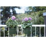 thumbnail of 3 x Hangpot Kunststof - Tuin Balkon Bloempot Relingpot Met Wateroverloop D.20 H17 cm - Oudgroen