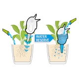 thumbnail of Scheurich Bördy XXL, Wasserspeicher aus Kunststoff,  Farbe: Bördy XXL, Champagne Pearl, 13,7 cm Breite, 11 cm Tiefe, 33 cm hoch, 1 l Vol.