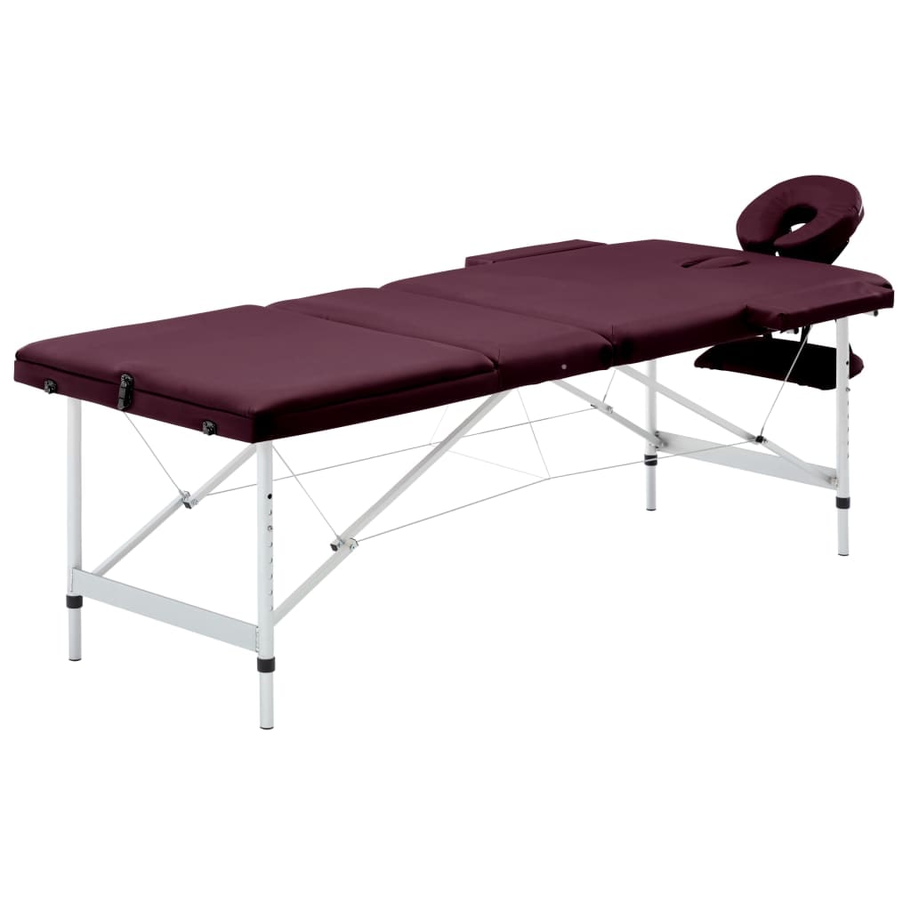 Helloshop26 - Opklapbare massagetafel massagebed bank sofa draagbare professionele cosmetische therapie Shiatsu Reiki 3 zones 02_0001829