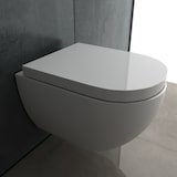 thumbnail of Alpenberger WC mit WC-Sitz Soft-Close - Spülrandlos mit Lotuseffekt - Toilette Bad