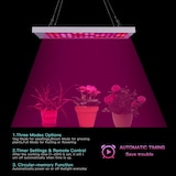thumbnail of Lâmpada de Cultivo, Lâmpada LED para Cultivo, Espectro Completo com 98 LEDs, Lâmpada de Cultivo Hidropónico VETS