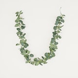 thumbnail of LIGNE DÉCO Guirlande végétale artificielle d'eucalyptus 165cm