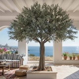 thumbnail of Olivo artificial premium 360 cm verde