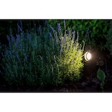 thumbnail of Außenleuchte Gartenstrahler mit Erdspieß HORTUS BLACK IP65 GU10 schwarz EDO777112 EDO