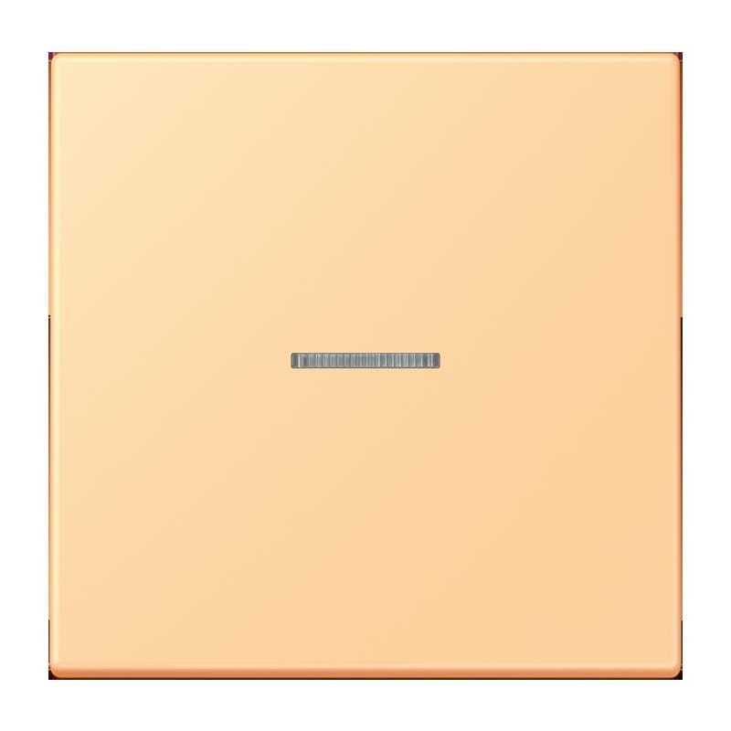 Jung Wippe mit Lichtleiter LC 101 KO5 258 LC101KO5258