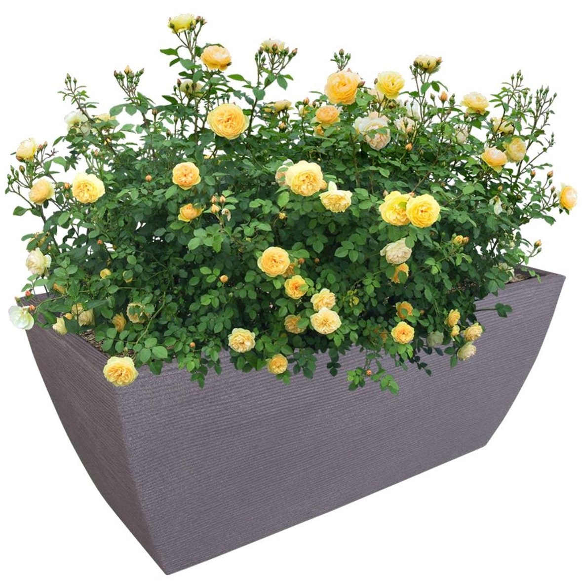 Rillen-Pflanztrog grau Pflanzkübel Blumentopf Pflanztopf Blumenkübel Übertopf Grau