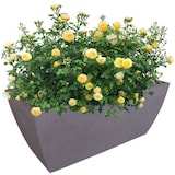 thumbnail of Rillen-Pflanztrog grau Pflanzkübel Blumentopf Pflanztopf Blumenkübel Übertopf Grau