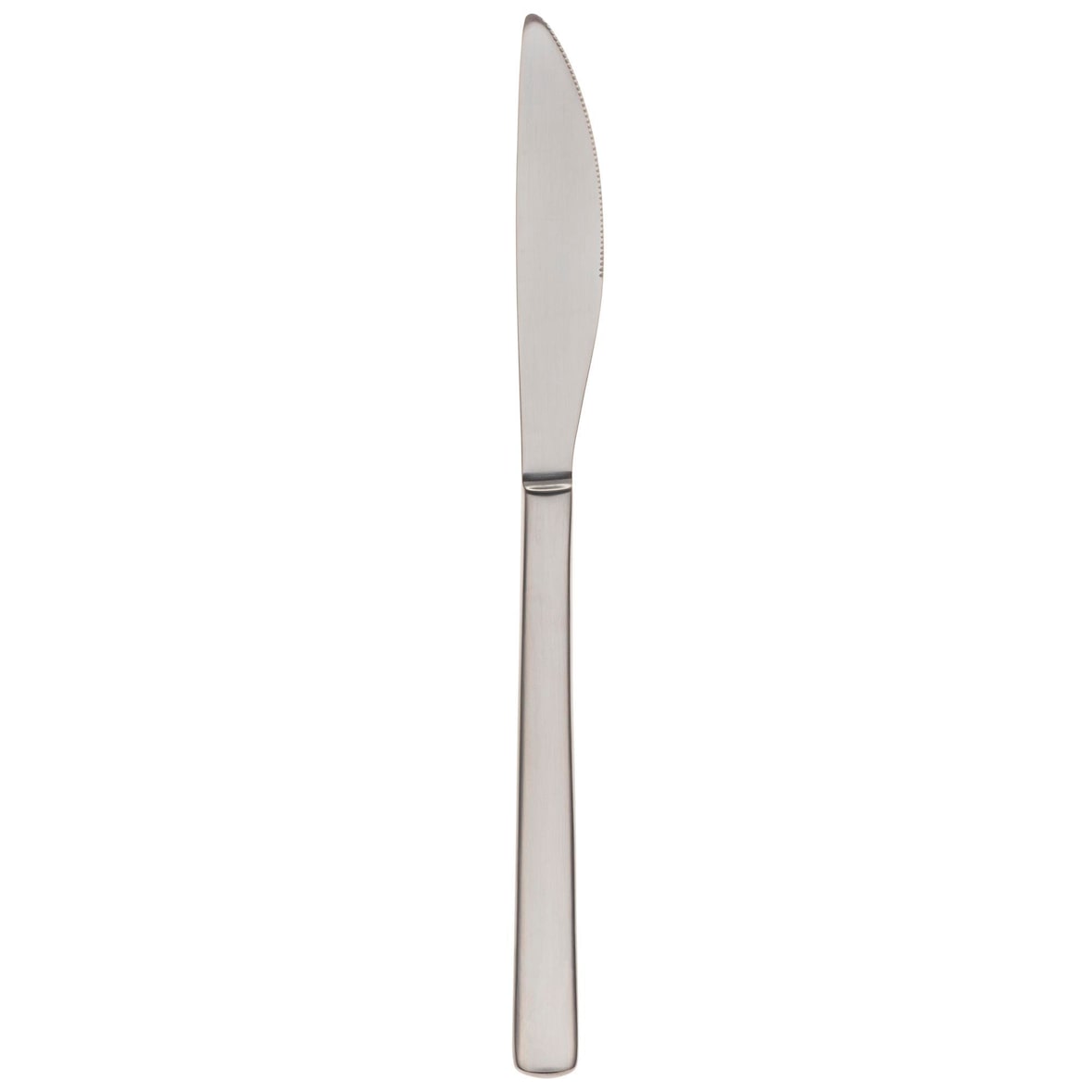 BERGNER - Set van 2 mooie roestvrijstalen tafelmessen