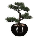 thumbnail of WellHome - Bonsai artificial en maceta de cerámica 35 x 32 x 34cm