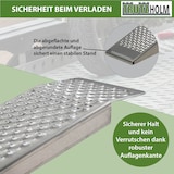 thumbnail of TRUTZHOLM 2 x Auffahrrampen 250 cm Traglast 1000 kg Alu grau gelocht Motorradrampen Verladerampen