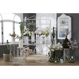 thumbnail of Dame Jeanne 12 l grün - Glas Amadeus 29x29 cm