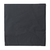 thumbnail of MONOUSO - Papieren Servet met Rand 2-laags Zwart 40x40cm (100 Stuks)