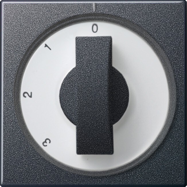 Gira Abdeckung m.Knebel anth 066928