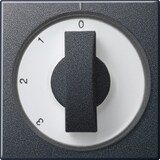 thumbnail of Gira Abdeckung m.Knebel anth 066928