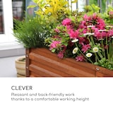 thumbnail of Rust Grow Hochbeet Gartenbeet verzinktes Stahlblech Rost-Finish Rost