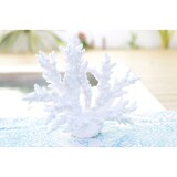 thumbnail of Corail blanc décoratif 34x13x27cm