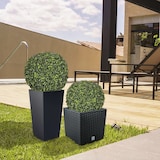 thumbnail of WellHome - Set di 2 vasi quadrati Urbi da 35 litri in antracite con sfera in bosso da 36 cm