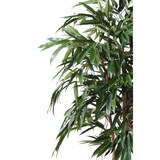 thumbnail of VERT ESPACE plante artificielle ficus alii royal 190 cm