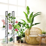 thumbnail of Relaxdays Pflanzenregal, Blumentreppe 6 Ablagen, HBT: 150x78x24 cm, Stahl & MDF, Blumenregal innen, schwarz/dunkelbraun