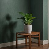thumbnail of Philodendron Green Princess 2er Set Höhe 20-30cm