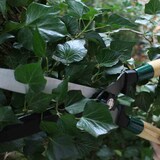 thumbnail of SIENA GARDEN Wellenschliff ClassicLine Heckenschere Wellenschliff