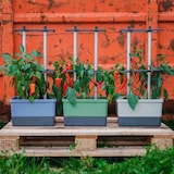 thumbnail of Gusta Garden Charly Chili Drinnen/Draußen Topfpflanzer Freistehend Polypropylen (PP), Aluminium Blau