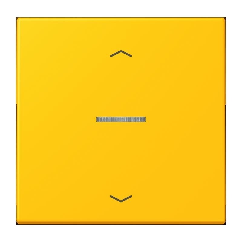 Jung Wippe mit Lichtleiter LC 101 KO5P 263 LC101KO5P263