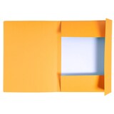 thumbnail of Exacompta 449009E 50x Bedruckte Sammelmap.280g folio Forever beige - Orange