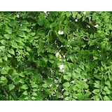thumbnail of Künstliche Pflanzenwand 50x50cm Farn Efeu Wandpflanzen Kunstpflanzen Wanddeko