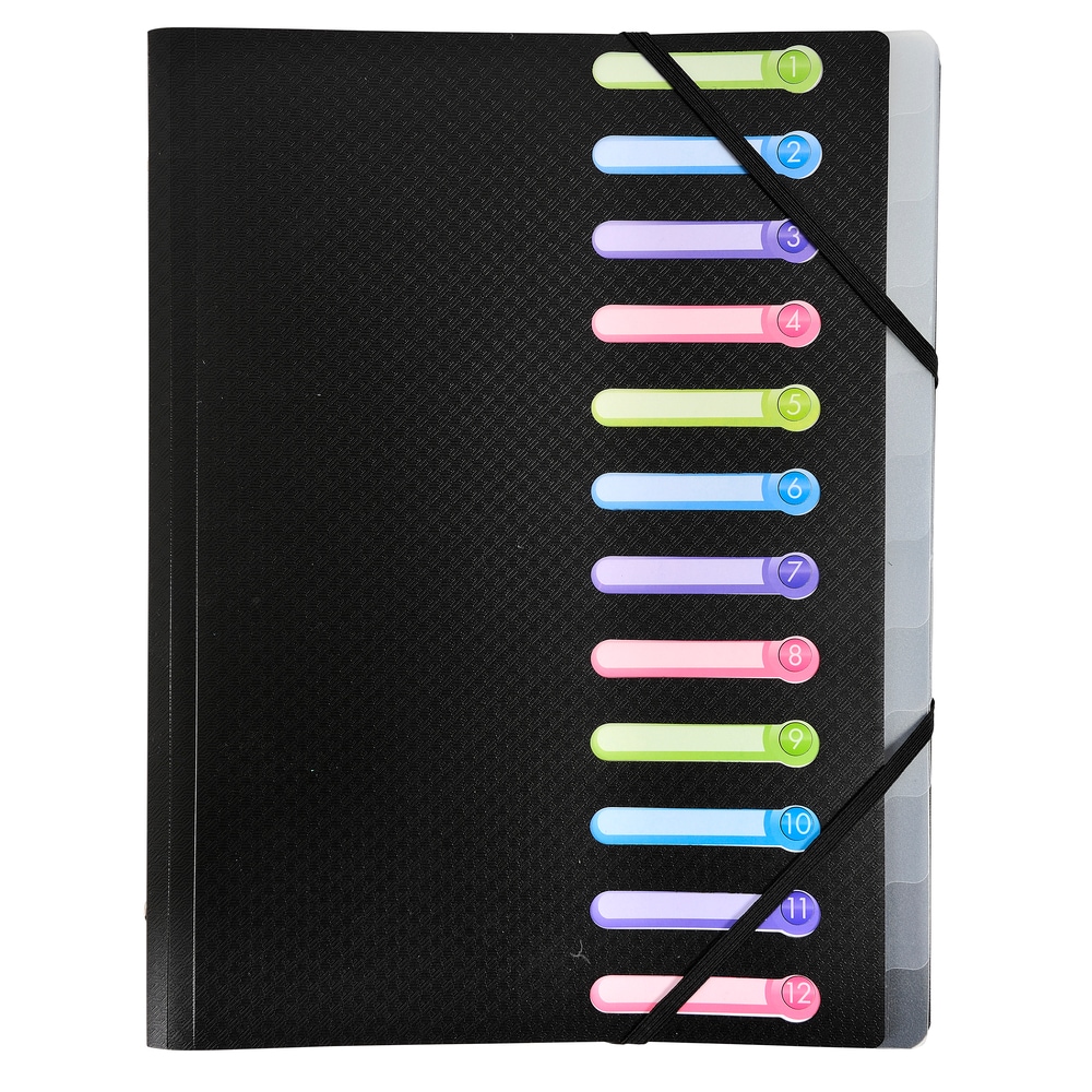 Exacompta Ordnungsmappe OPAK aus PP mit 3 Klappen und 12 Fächern